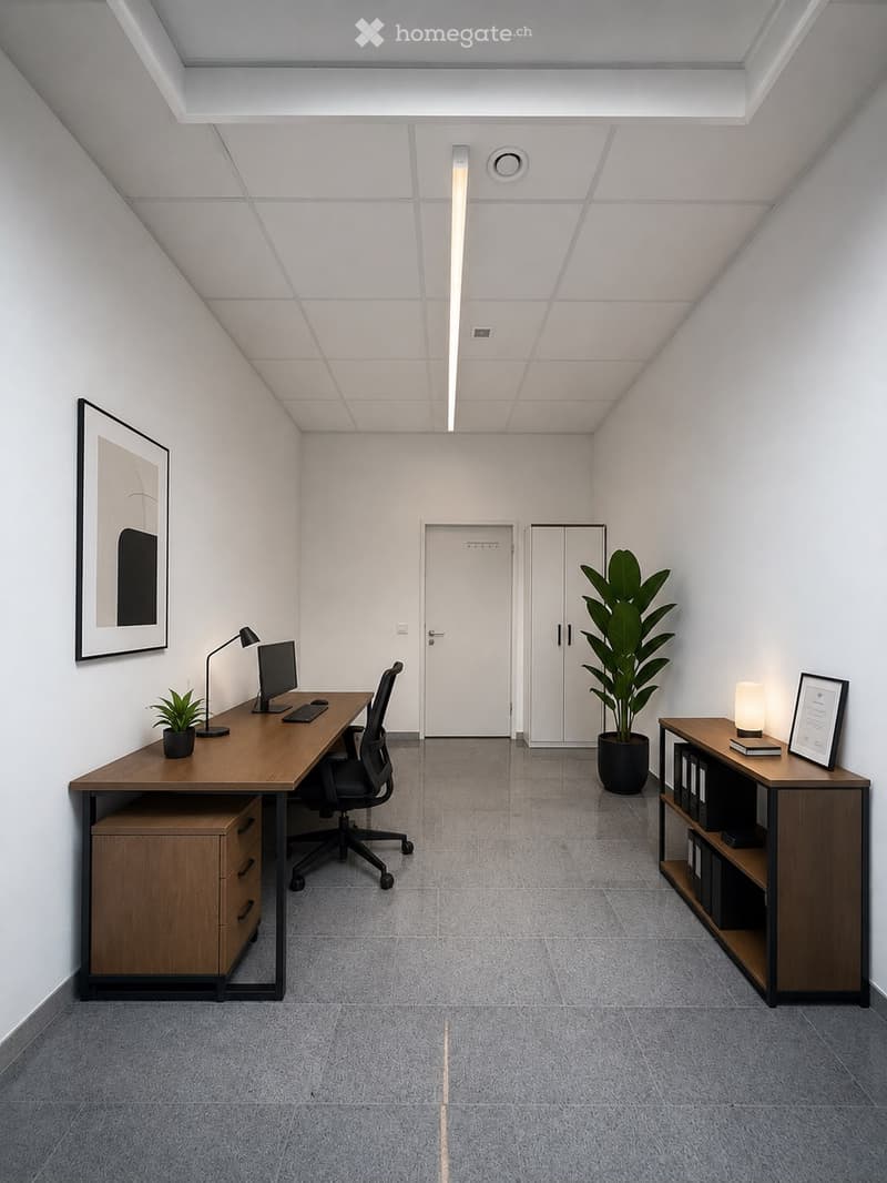 Modern office space with a wooden desk, ergonomic chair, computer setup, small potted plants, a wooden shelf with books and files, and framed artwork on the walls.