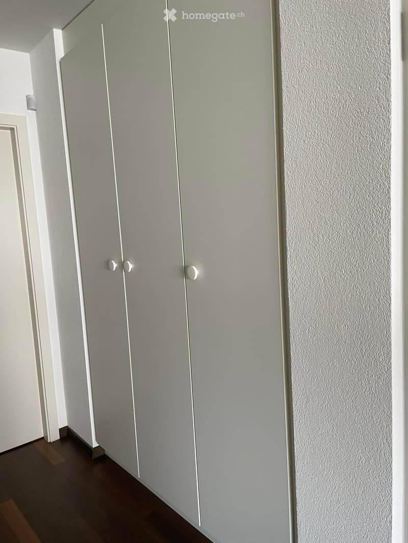 A narrow hallway with light grey walls, a wooden floor, and a closed sliding door on the right side.
