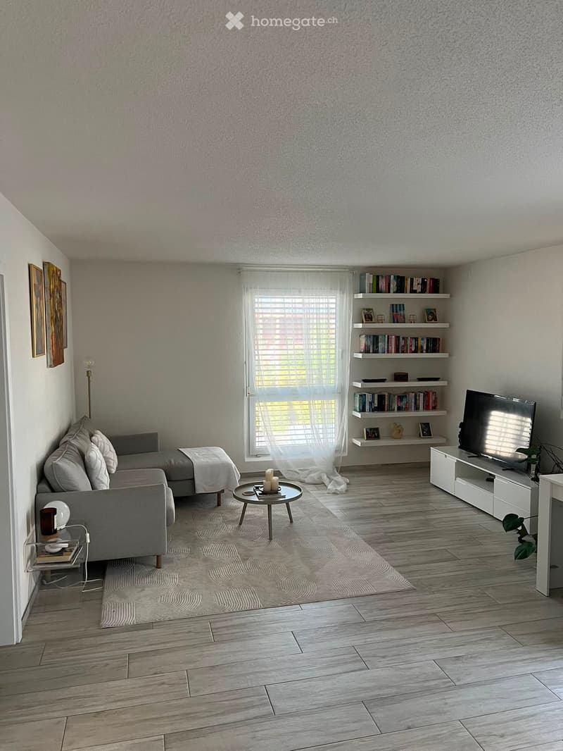 Modern living room with light grey sofa, coffee table, TV stand, bookshelf, and decorative items.
