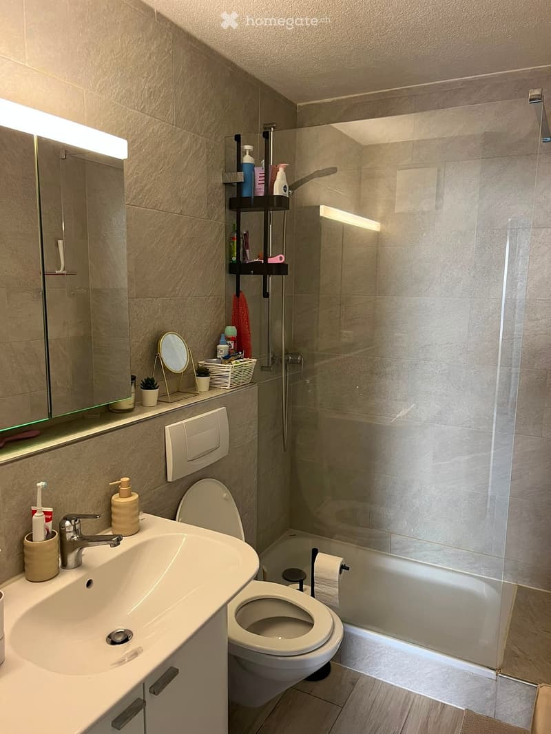 Modern bathroom with a sink, toilet, shower, and various toiletries neatly arranged on shelves and counters.