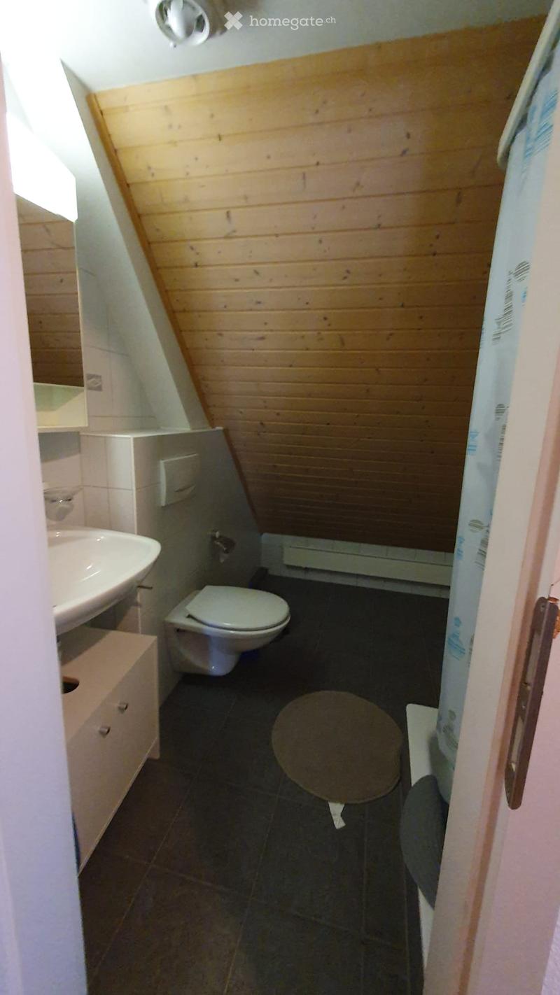 Small bathroom with wooden panel walls, dark tiled floor, toilet, sink, mirror, and a small cabinet.