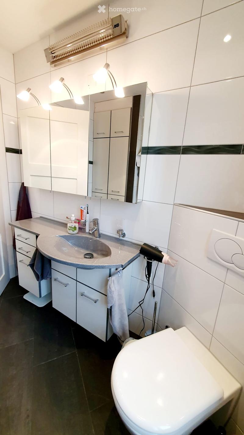 Modern bathroom with white cabinets, a sink, a mirror, a toilet, and a hair dryer on the counter.