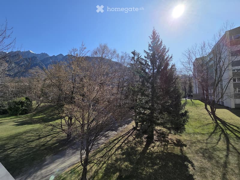 A sunny outdoor garden area with grass, trees, and a view of mountains in the background.
