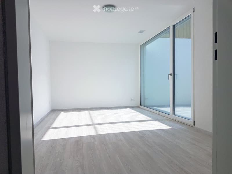 large glass sliding doors, balcony, hardwood floors, white walls, ceiling light