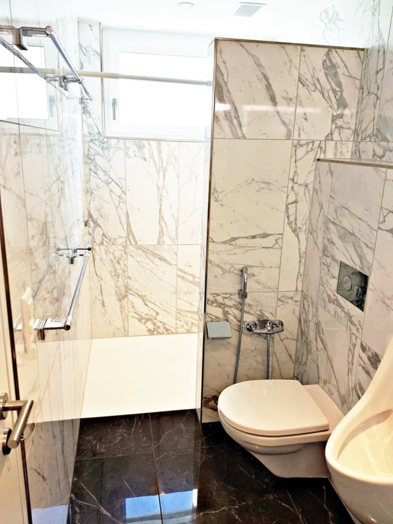 modern bathroom, large shower, toilet, urinal, marble walls and floors