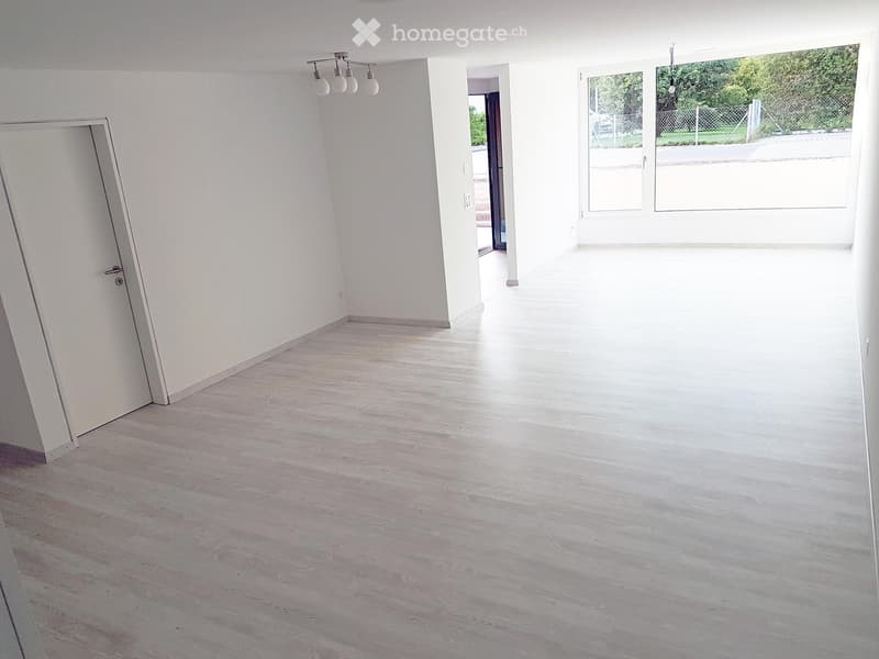 Empty room, white walls, wooden floor, sliding door, double windows, ceiling light
