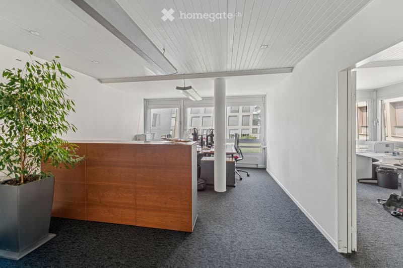 Modern office space with a reception desk, desks, chairs, computers, and a large potted plant. The area features white walls, a grey carpeted floor, and large windows with a view of the outside.