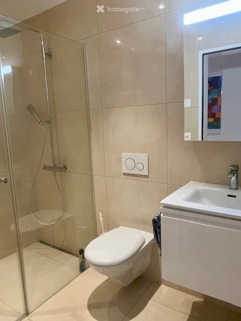 modern design bathroom, walk-in shower, white toilet, vanity sink, mirrors, tiles