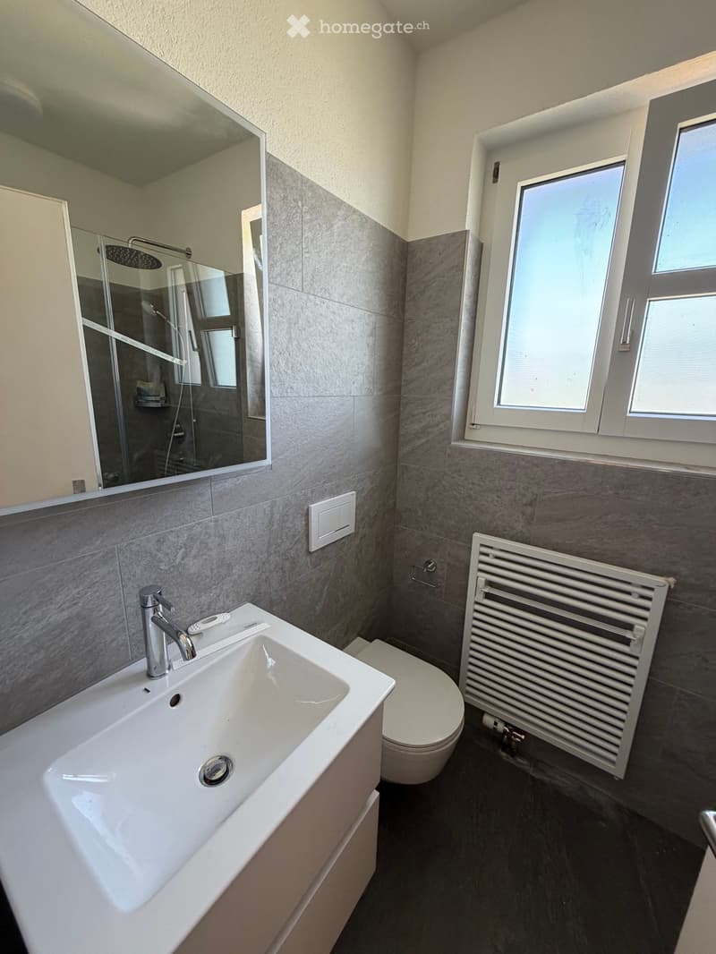 Modern bathroom with a white sink, chrome faucet, toilet, radiator, large mirror, and a shower area visible in the background.