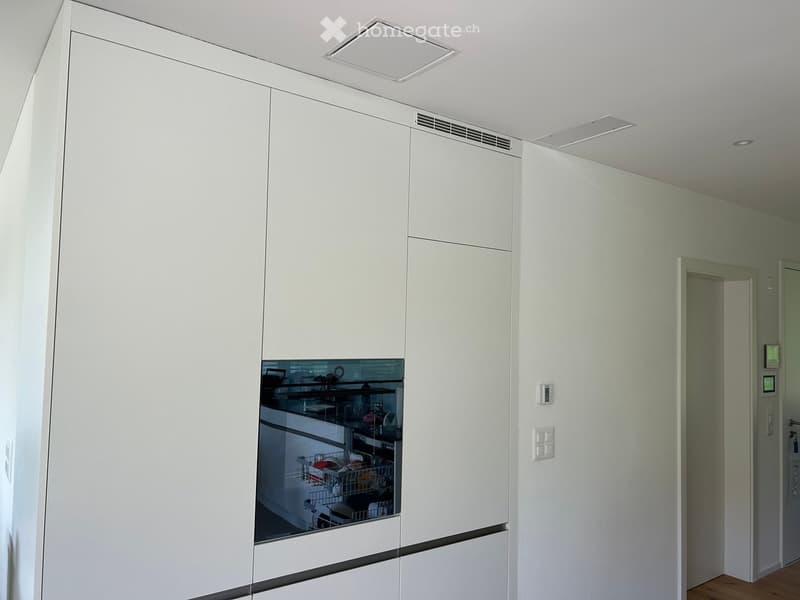 Modern kitchen with white cabinets, a built-in dishwasher, and sleek design.