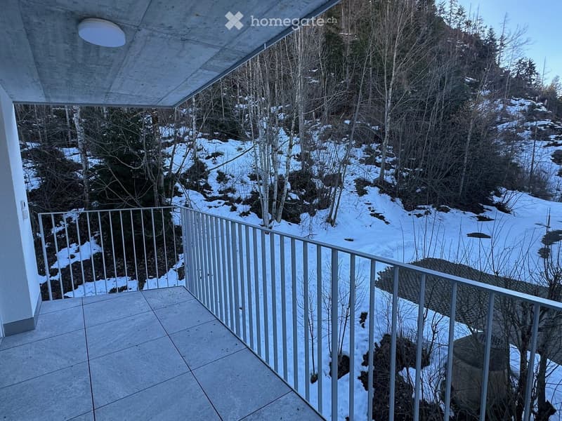 Balcony with modern metal railing, concrete floor, and a view of a snowy, wooded landscape.