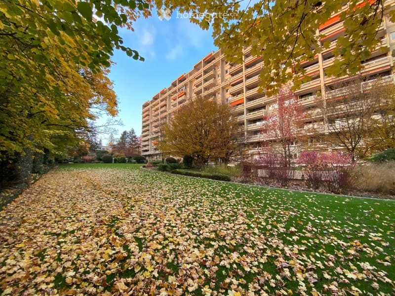 A well-maintained garden area with green grass, scattered autumn leaves, and a large residential building in the background.