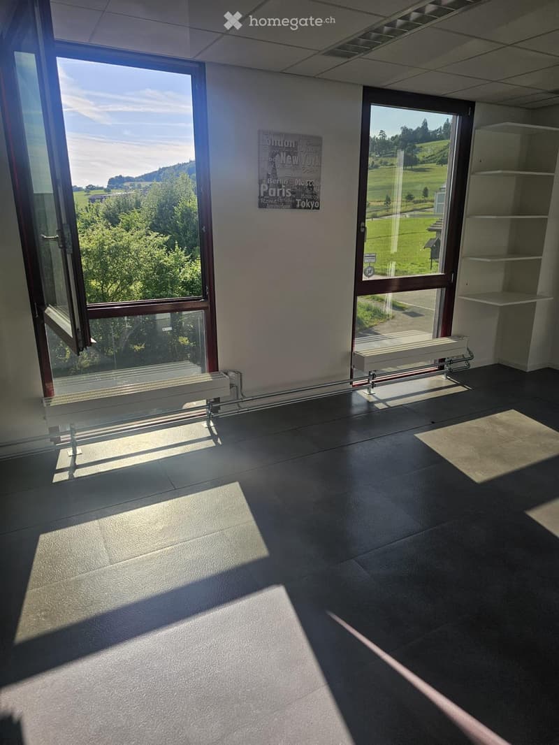 Empty room with large windows, carpeted floor, radiator, and a small shelf unit.