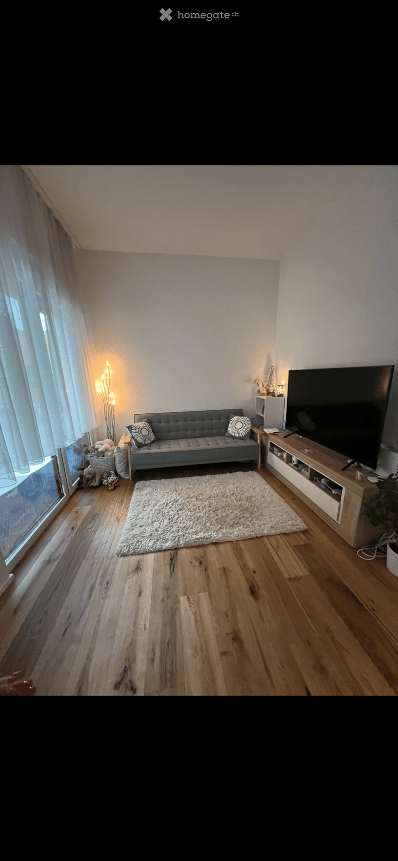 living room, carpet, grey couch, television, rug, basket of toys, floor lamp