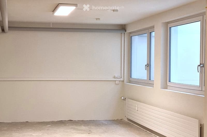 Empty room with bare walls, concrete floor, two windows, radiator, and ceiling light fixture.