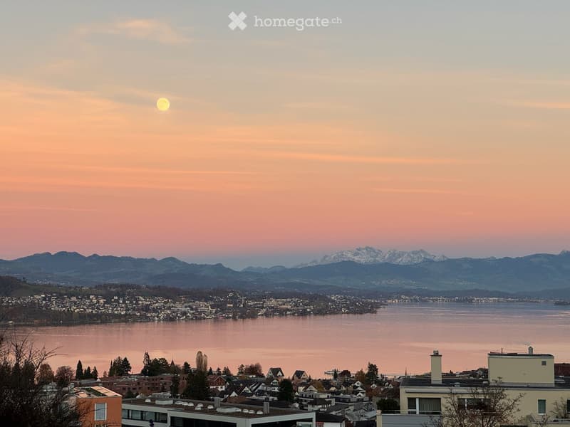 Traumhafte Terrassenwohnung mit unverbaubarer Sicht auf See und Berge (1)