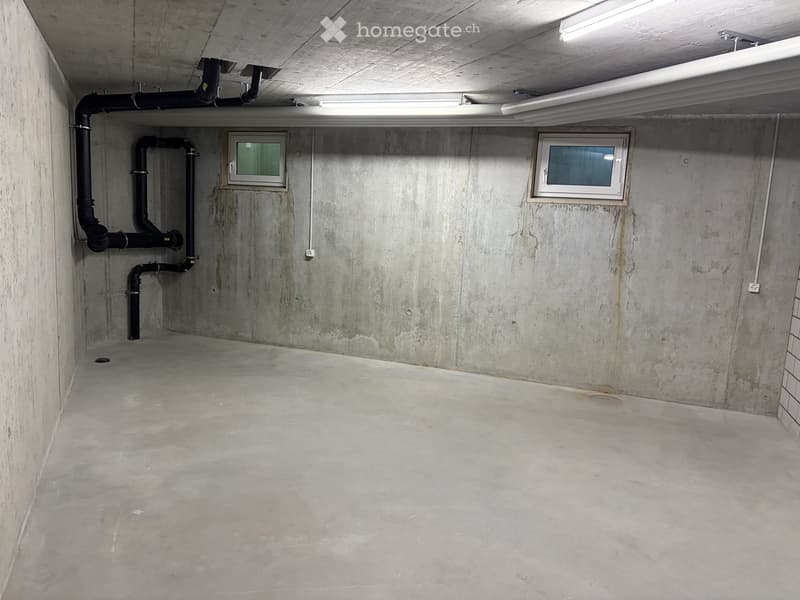 Empty basement room with concrete walls and floor, two small windows, and exposed pipes.