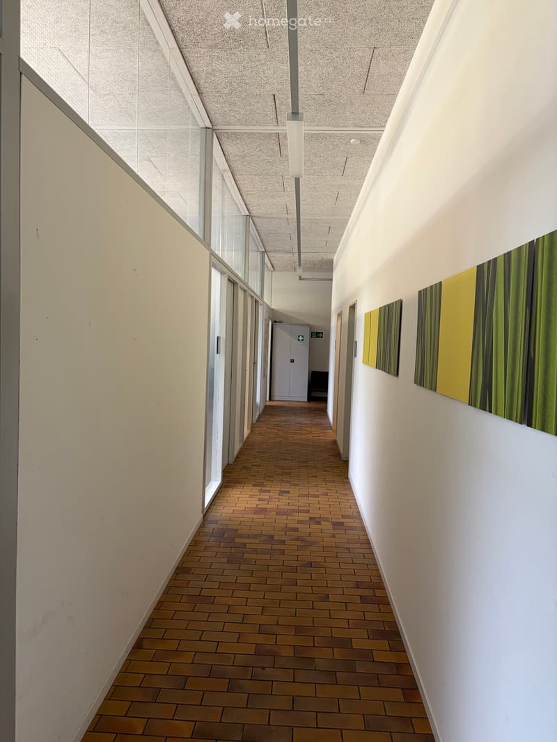 Modern hallway with wooden tiled flooring, white walls, large windows on one side, and abstract art pieces on the opposite wall.