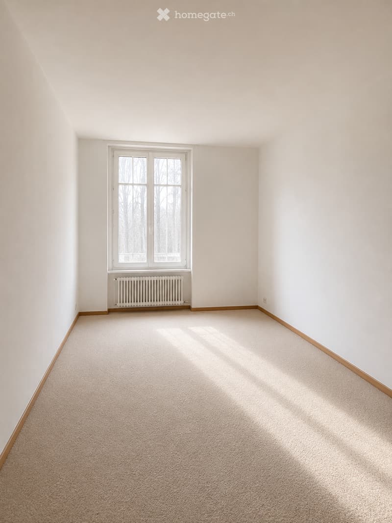 Empty room with light-colored walls, carpeted floor, and a single window with a radiator below it.