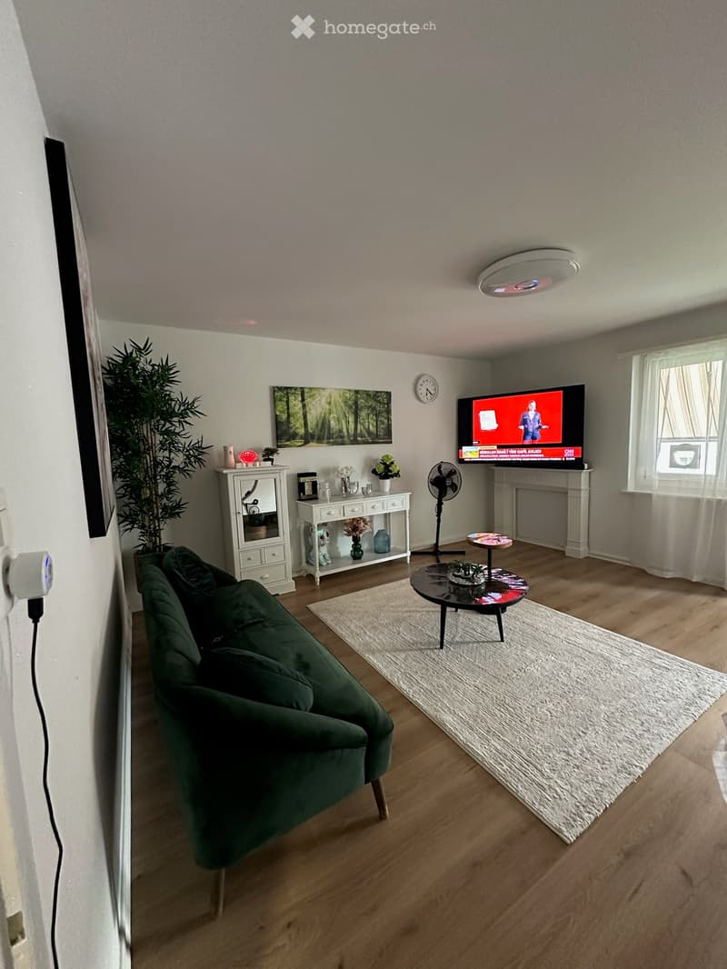 Modern living room with a green velvet sofa, coffee table, television, small fan, side table, and decorative cabinet. The room features wooden flooring, a white rug, and a large window with curtains.