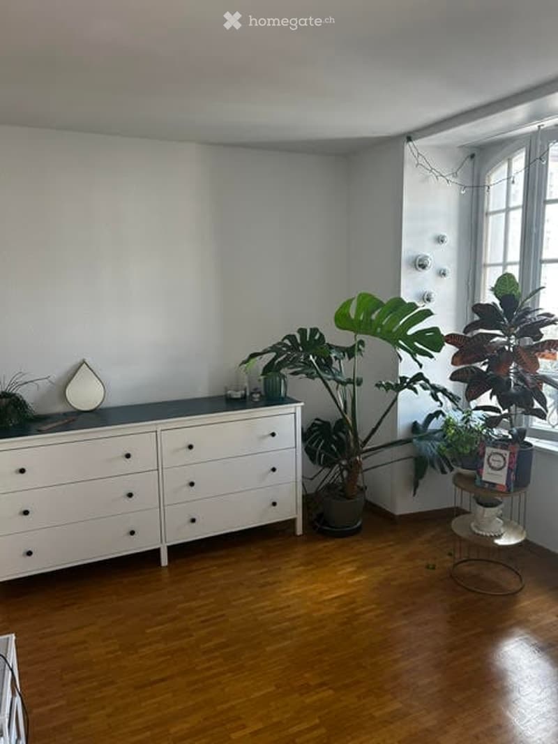 A modern, minimalist room with a white dresser, a small table, and several potted plants, including a large leafy plant near the window. The room features light-colored walls and a polished wooden floor.