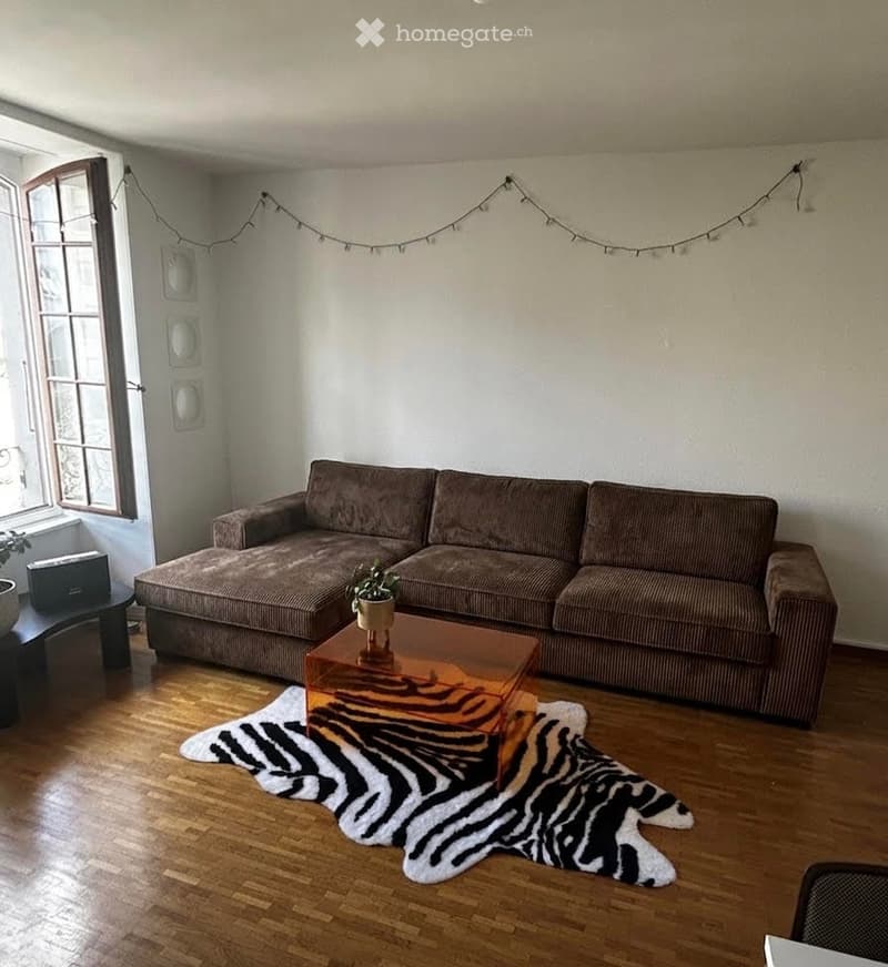 A cozy living room with a large brown sectional sofa, a glass coffee table with a plant, a zebra print rug, and a small table with a speaker and plant near a large window.