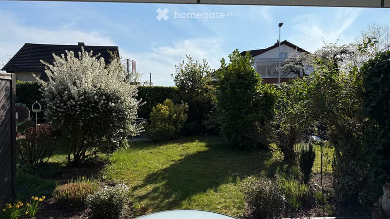 Well-maintained garden with a lawn, flowering shrubs, and a wooden fence, with neighboring houses visible in the background.