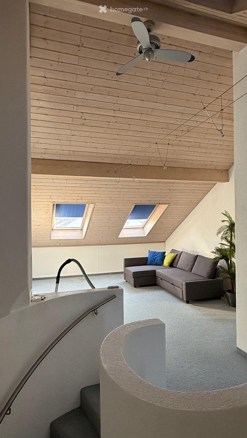 Modern living room with a grey sectional sofa, colorful pillows, a potted plant, and a ceiling fan. The room features wooden paneling on the ceiling and skylight windows.