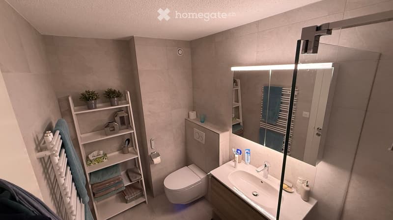 Modern bathroom with a white sink, toilet, large mirror with built-in lighting, and a wooden shelf holding towels, plants, and toiletries.
