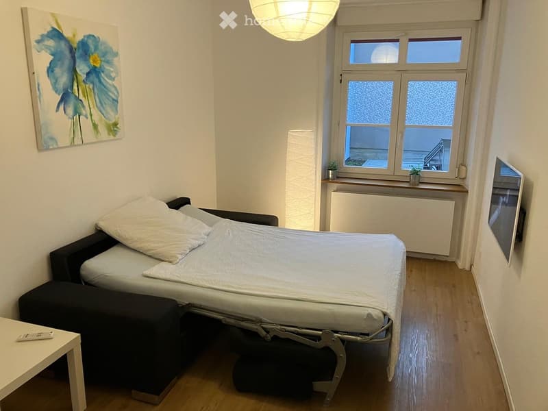 Cozy bedroom with a sofa bed, small table, pendant light, painting, and TV. Windows offer a view of the outside.