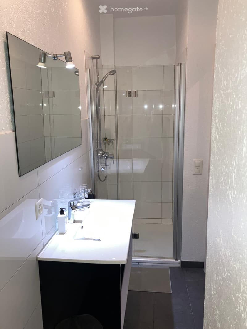 Modern bathroom with a white sink, chrome faucet, large mirror, and a glass-enclosed shower area.