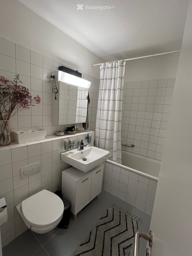Modern bathroom with white tiles, a toilet, sink, mirror, bathtub, and shower curtain. Includes a vase with dried flowers on the counter.
