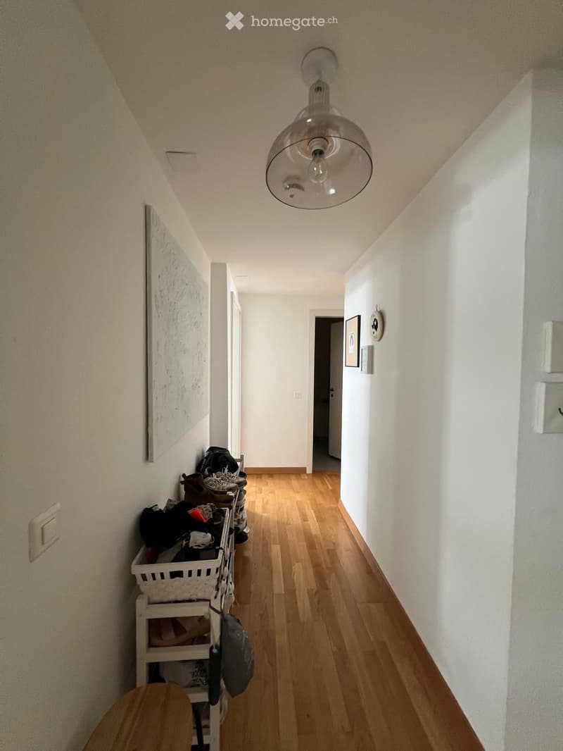 A narrow hallway with wooden flooring, white walls, and a modern pendant light fixture. A small shelf holds shoes and bags, and framed pictures adorn the walls.