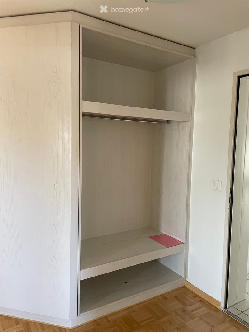 Empty closet with wooden shelves and a hanging rod, light-colored wood finish, and a small red item on the bottom shelf.