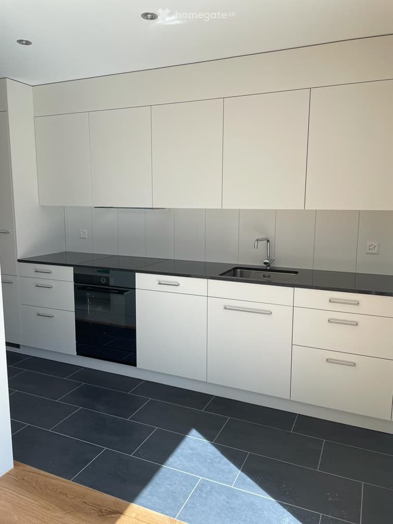 modern kitchen, black tiled floors, white cabinets, stainless steel sink, built-in oven, under cabinet drawers