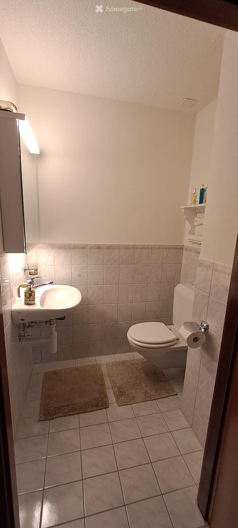 Small bathroom with beige tiled walls and floor, featuring a white sink with a chrome faucet, a toilet, a toilet paper holder, a small shelf with toiletries, and two beige rugs on the floor.
