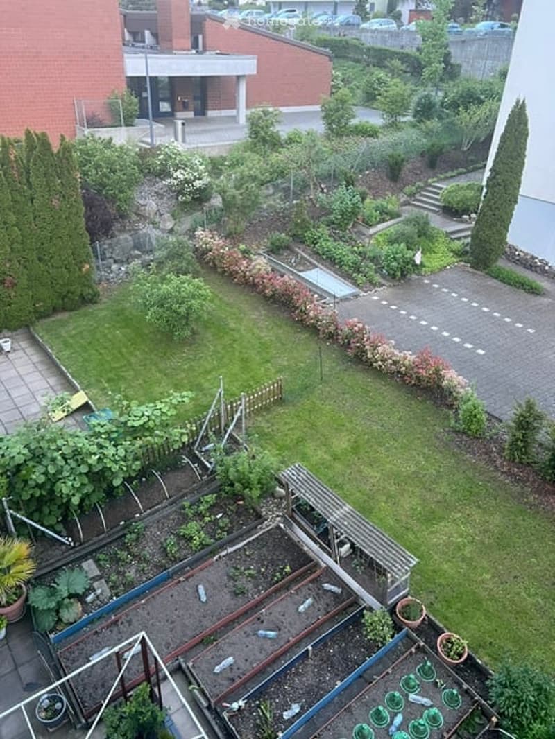 A well-maintained garden with various plants, shrubs, and a small water feature. The area includes a paved pathway, a raised garden bed, and a small wooden structure, likely a shed or storage area.