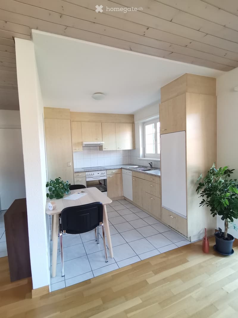 Modern kitchen with light wooden cabinets, stainless steel appliances, a small dining table with a chair, and potted plants.