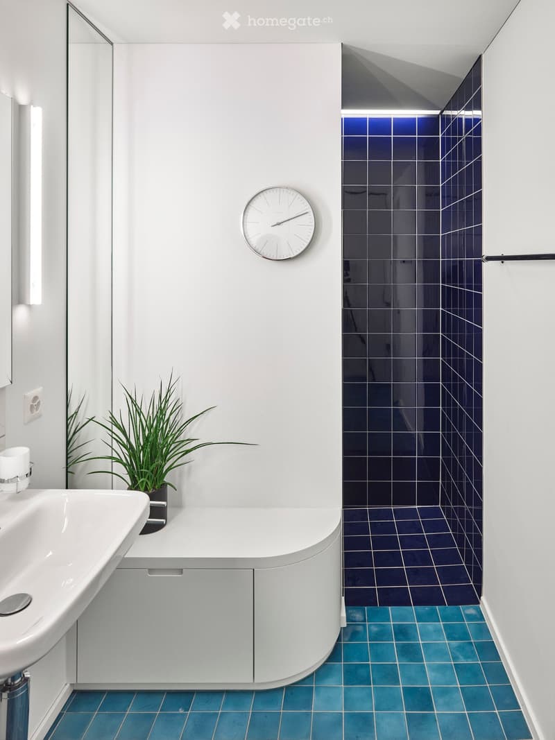 modern bathroom with white walls, blue tiles, white sink, plant, mirror, wall clock, and a shower area