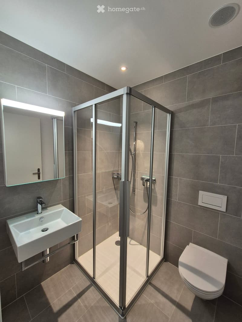 modern bathroom with shower, toilet, sink, and mirror