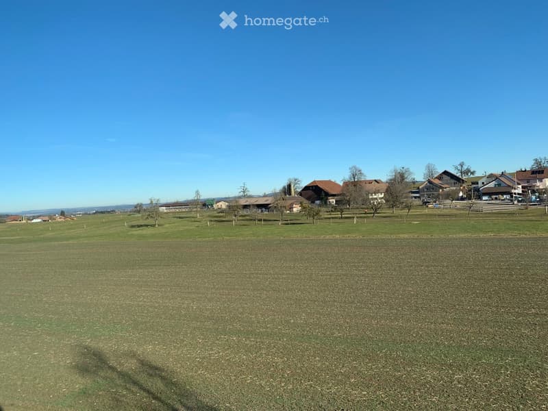 Open grassy field with scattered trees and distant houses under a clear blue sky.