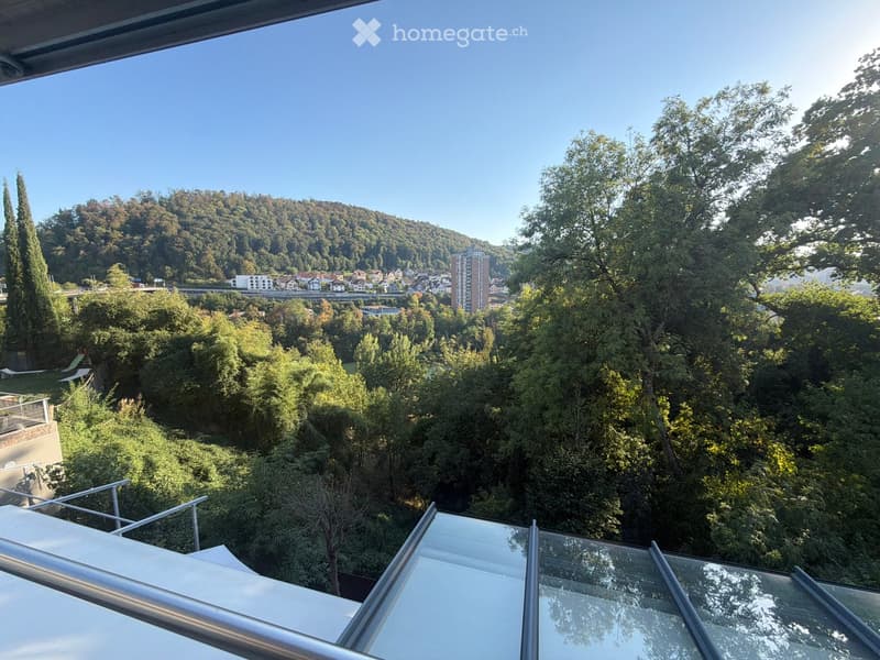 A panoramic view from a balcony or terrace showing a lush green landscape with trees, a cityscape in the distance, and a clear blue sky.