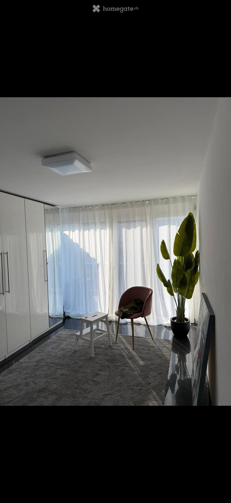A modern, minimalistic room with a pink chair, a small white stool, a large leafy plant in a pot, and a wardrobe with mirrored doors. The room features large windows with sheer white curtains and a soft, neutral-colored rug.