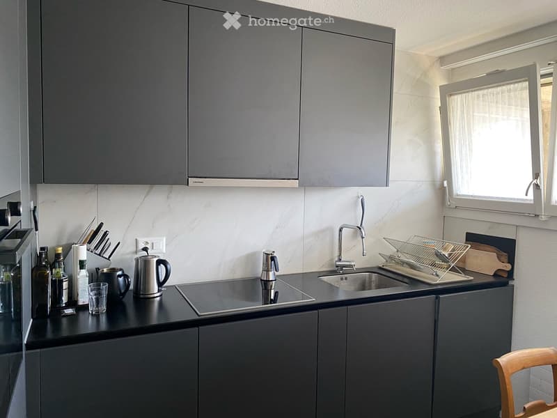 2.5-Zimmer-Wohnung mit Balkon in Zürich-Höngg, nahe Limmat (3)
