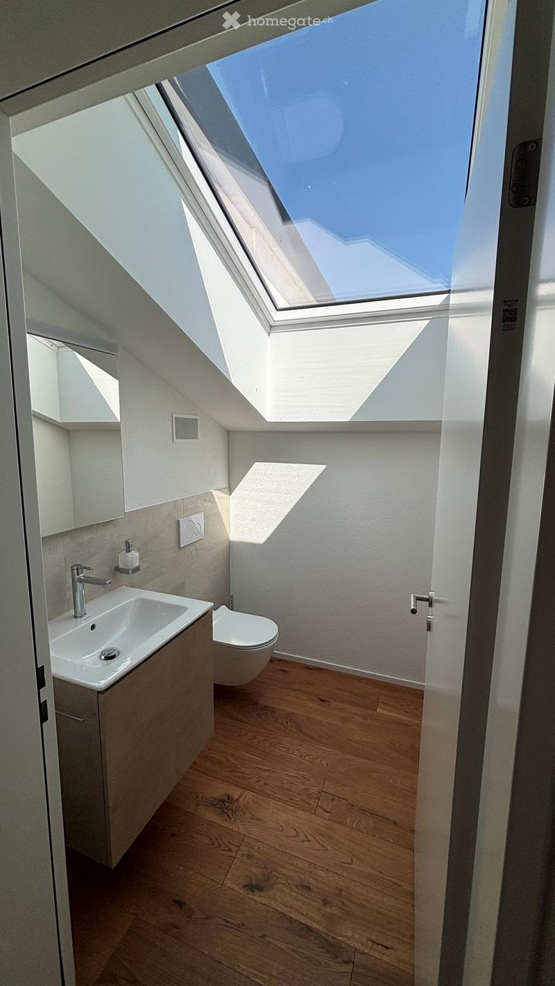 Modern bathroom with wooden flooring, white walls, a sink with a chrome faucet, a toilet, and a built-in cabinet. Features a skylight window above the toilet.