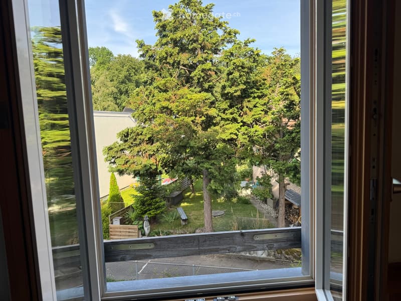 View from a window showing a well-maintained garden with trees, shrubs, a bench, and a pathway.