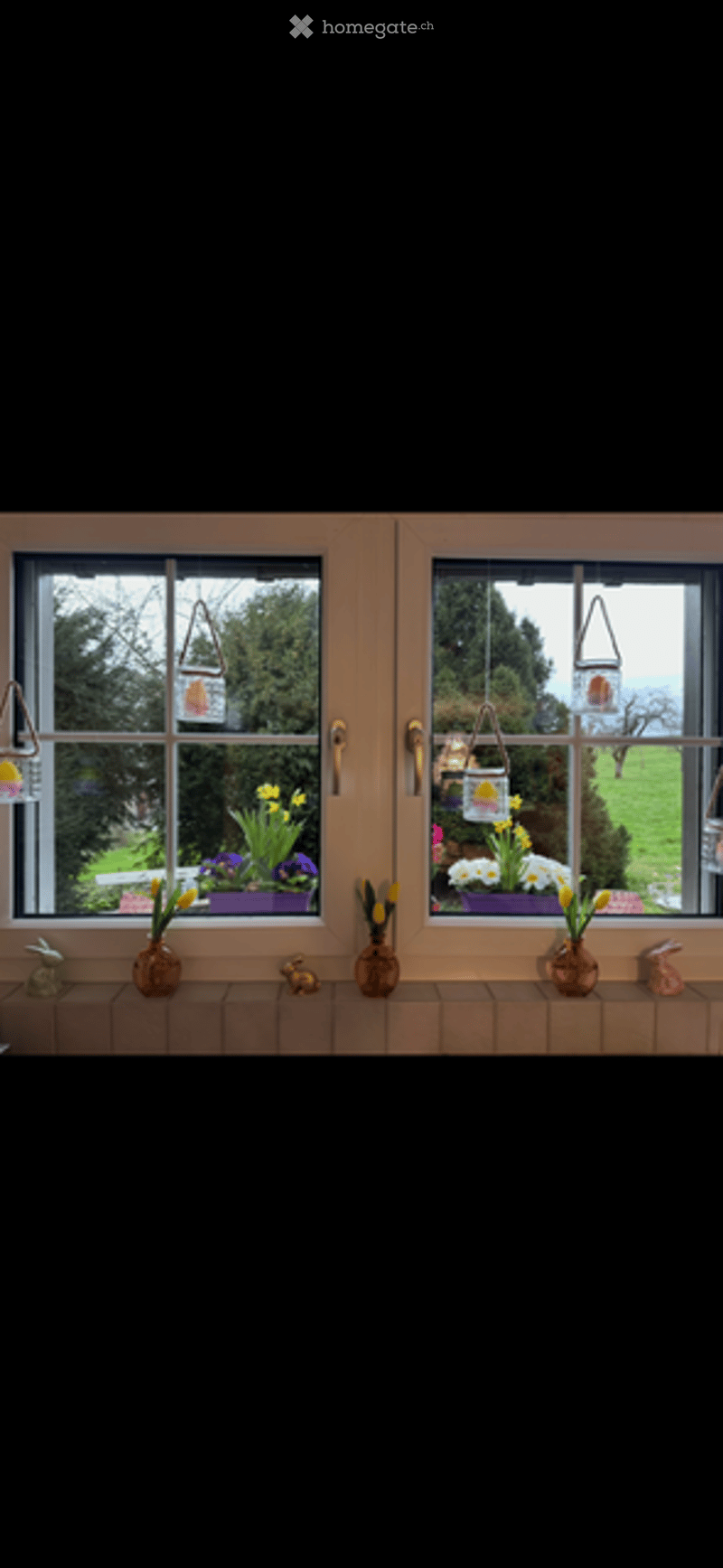 Empty room with large windows, small potted plants on the windowsill, and decorative hanging ornaments visible through the glass.