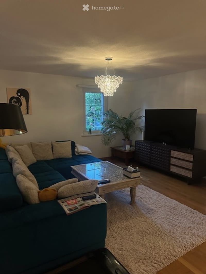 Modern living room with a blue sectional sofa, glass coffee table, flat-screen TV, floor lamp, and a potted plant near the window.