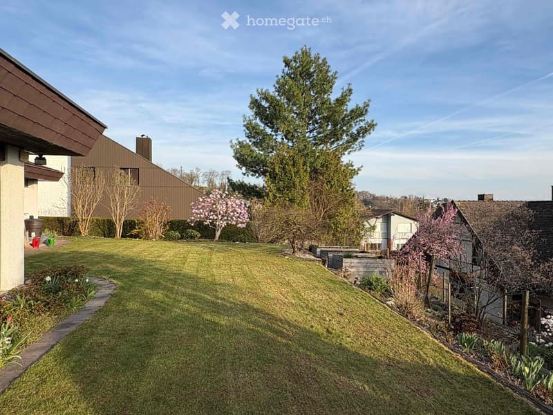 Well-maintained lawn with a curved stone pathway, surrounded by trees, shrubs, and flowering plants. The background includes neighboring houses and a clear blue sky.
