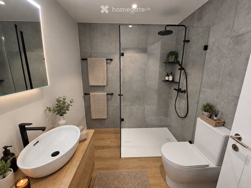 Modern bathroom with a large sink, sleek faucet, toilet, glass-enclosed shower, and decorative towels. Features include a large mirror, small plants, and a candle on the wooden vanity.